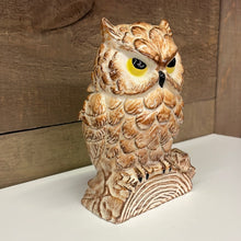 Load image into Gallery viewer, Detailed pottery Owl
