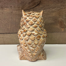 Load image into Gallery viewer, Detailed pottery Owl
