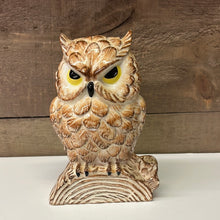 Load image into Gallery viewer, Detailed pottery Owl
